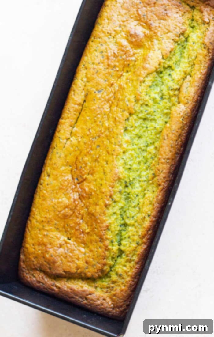 Green Goddess Avocado Cake 5 A freshly baked avocado loaf cake, glistening with its powdered sugar glaze, sitting in a rectangular baking pan, embodying both homemade comfort and modern culinary trends.