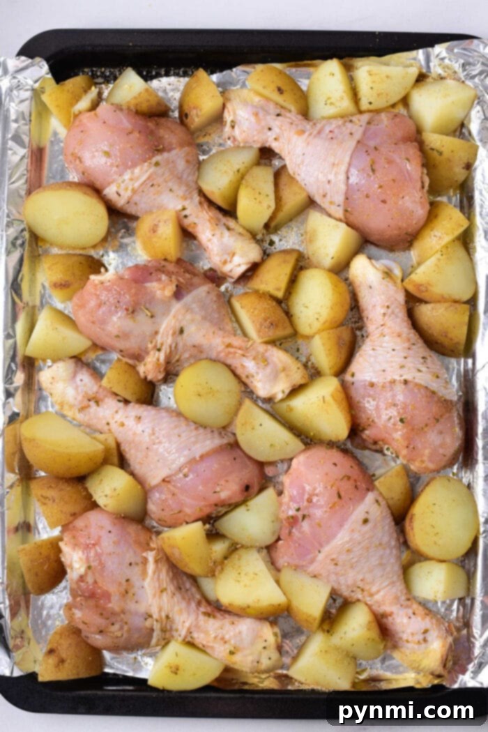Melt-In-Your-Mouth Baked Chicken Drumsticks 4 Chicken Drumsticks Marinade options for enhanced flavor