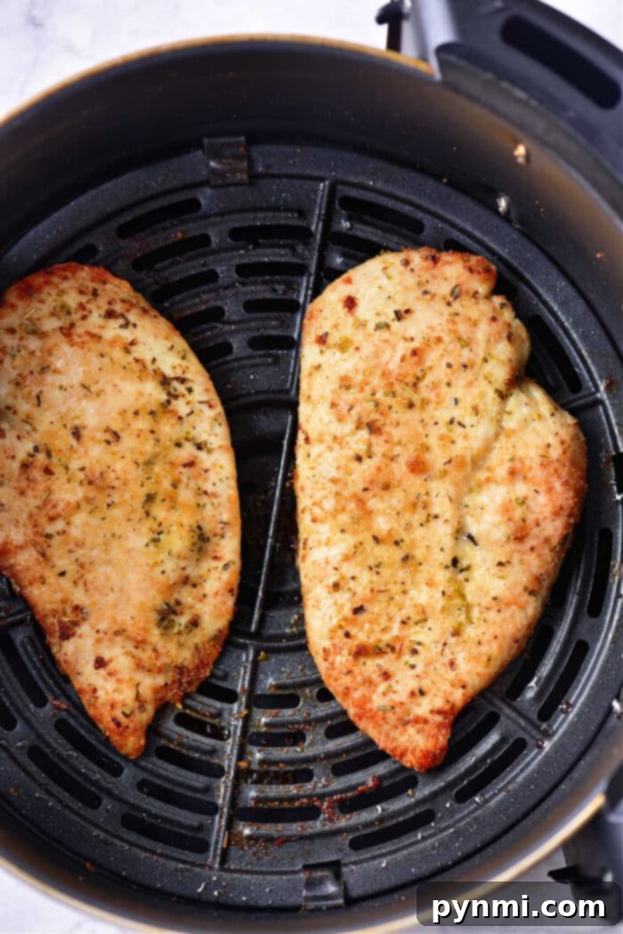Air Fryer Thin Chicken Breast no Breading