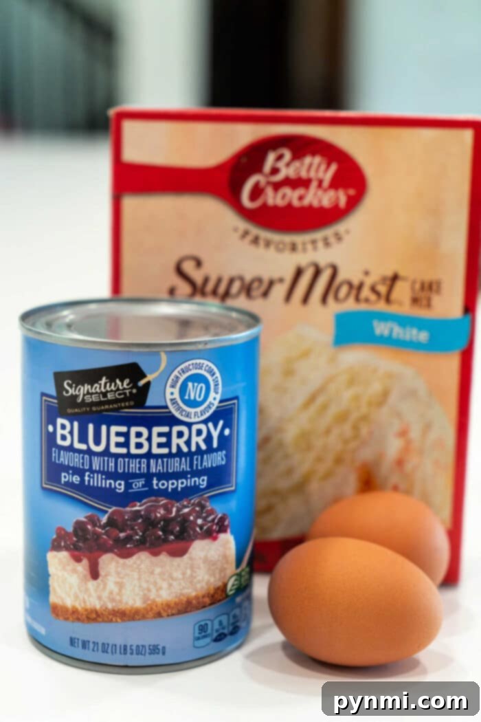 Delightful 3-Ingredient Blueberry Muffins, perfectly golden and moist