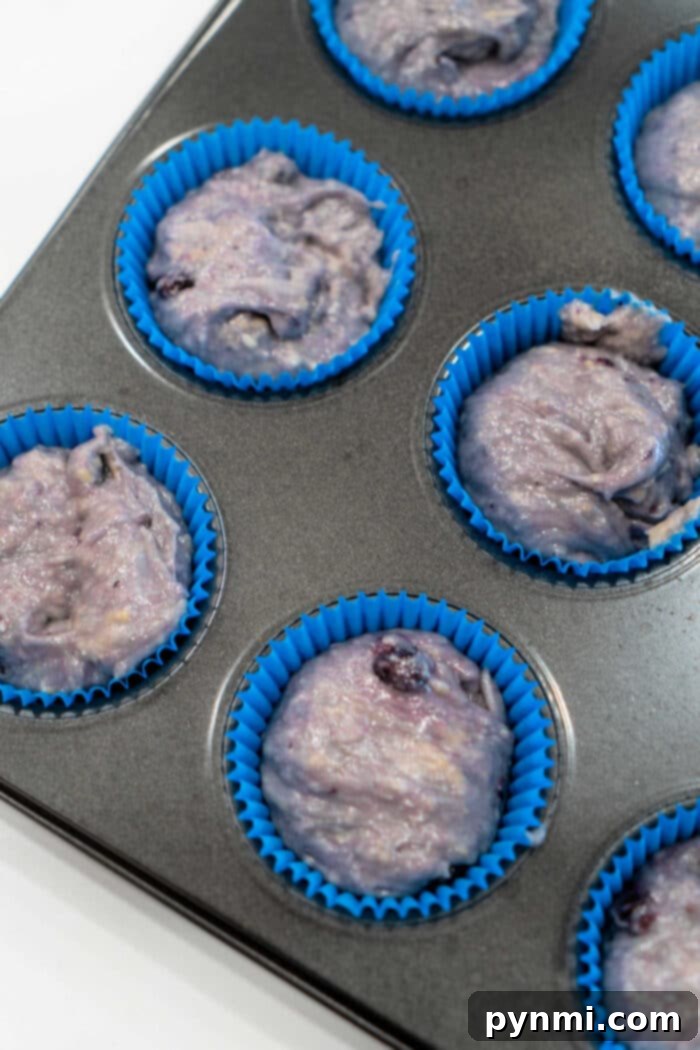 Close-up of three Dairy-Free Blueberry Muffins in white paper liners