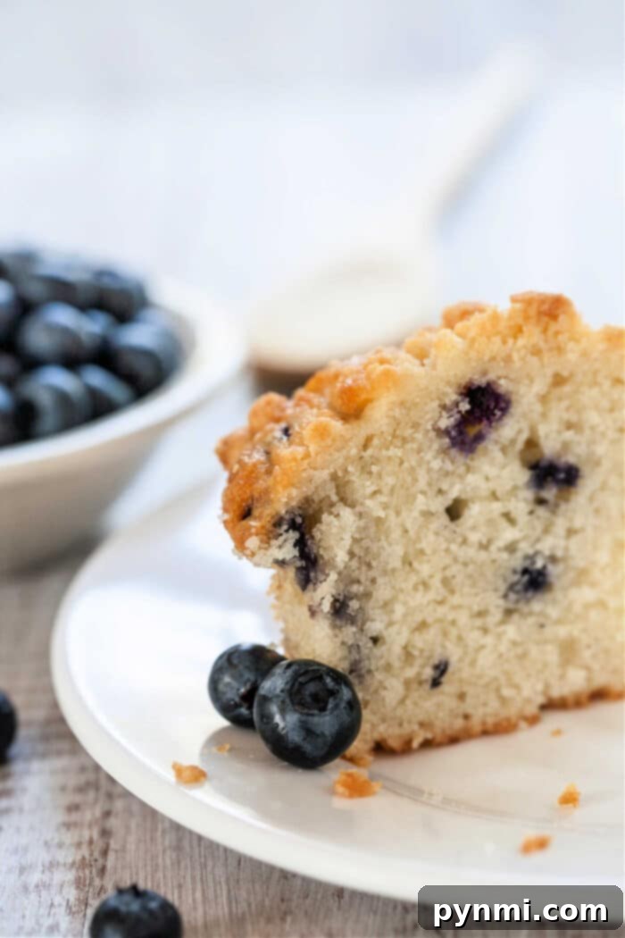A plate of freshly baked Cake Mix Blueberry Muffins, garnished with fresh blueberries.