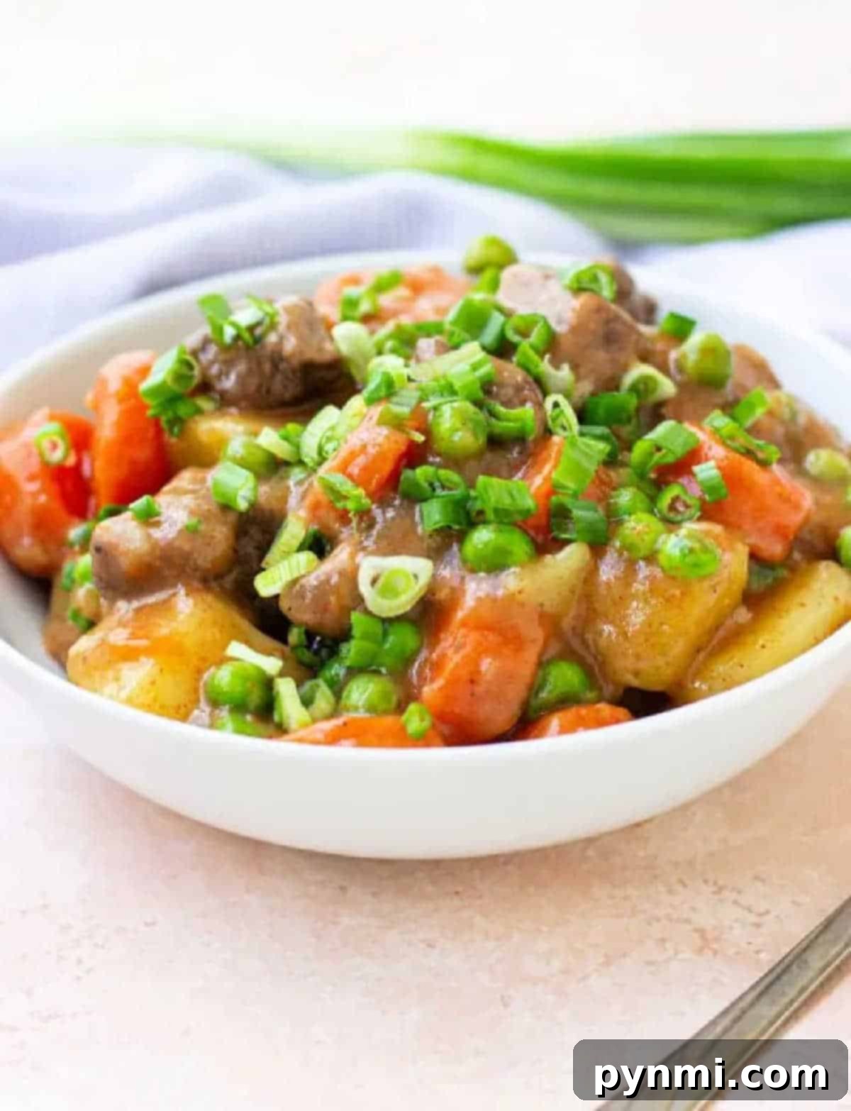 Bowl of hearty bear meat stew with potatoes, carrots, and green onions, garnished and ready to eat.