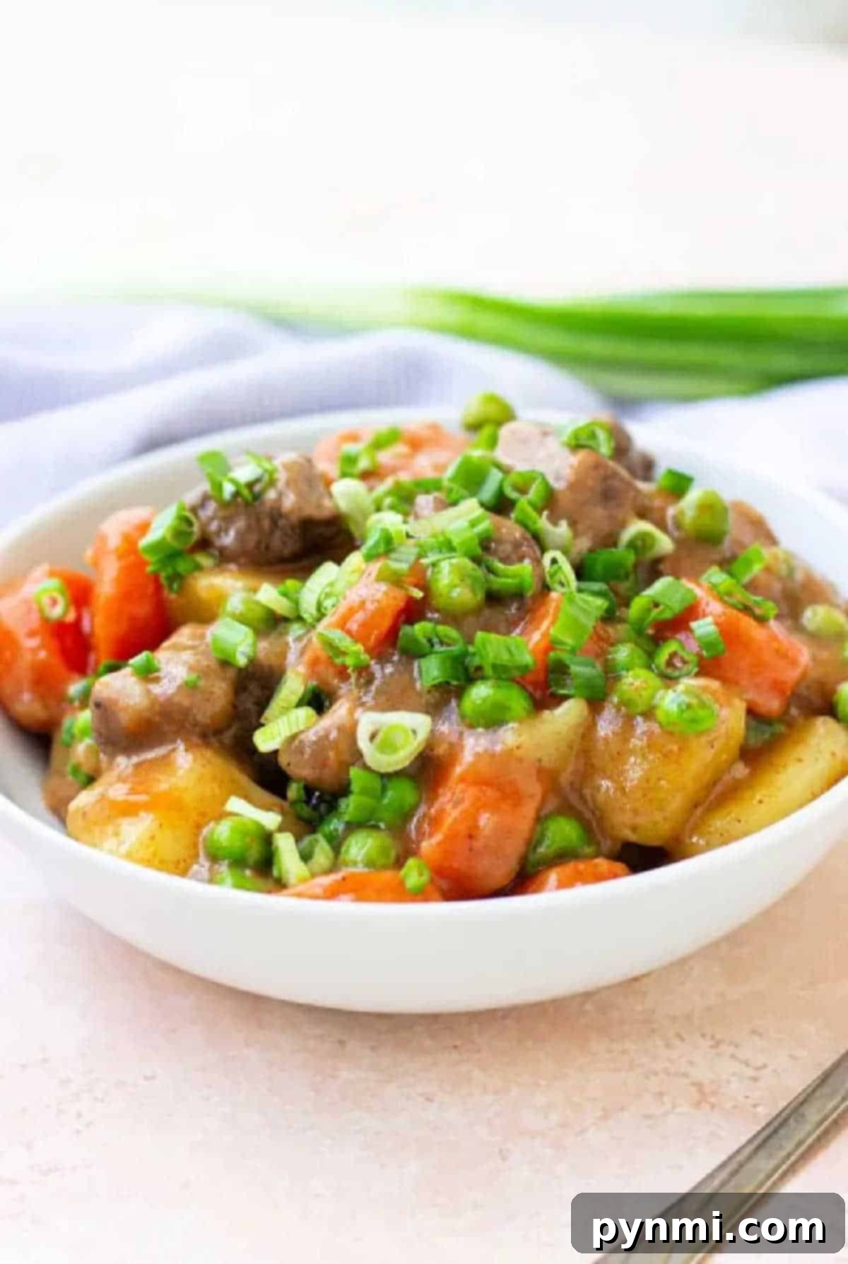 A bowl of hearty beef and bear meat stew with potatoes, carrots, peas, and chopped green onions on top.