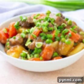 Bowl of hearty bear meat stew with potatoes, carrots, and green onions, garnished and ready to eat.