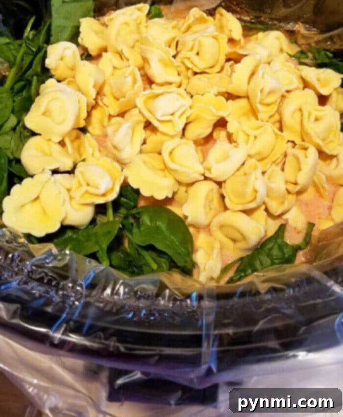 From Freezer to Feast: Creative Tortellini Creations 2 Crockpot Recipes with Tortellini