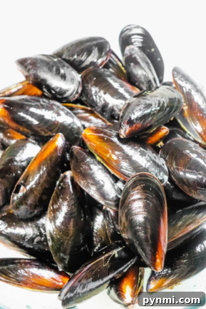 How to Open Mussels After Cooking, showing perfectly cooked mussels ready for serving.