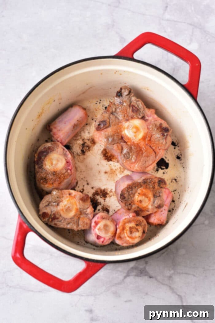 Braised Oxtails ready to serve in a Dutch Oven
