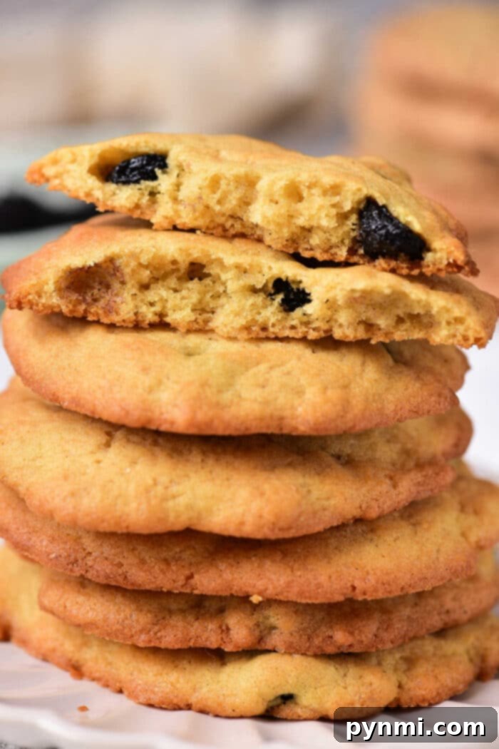 A stack of golden-brown Blueberry Lemon Cookies, garnished with a sprinkle of powdered sugar.