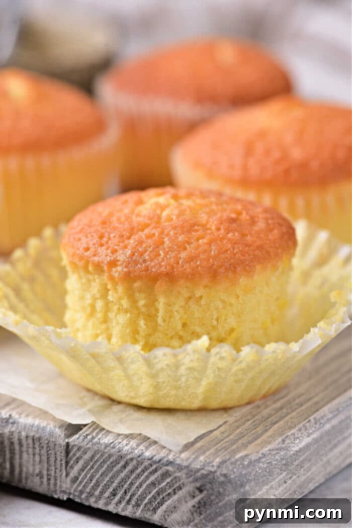 Sunshine Lemon Muffins 2 Golden lemon muffins with fresh lemon slices and a zesty glaze