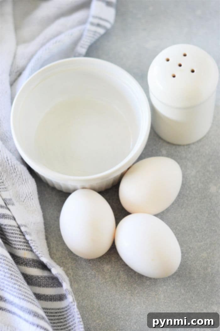 A pristine white egg white tortilla gracefully folded over itself, showcasing its thin and flexible texture, ready for a delicious filling.
