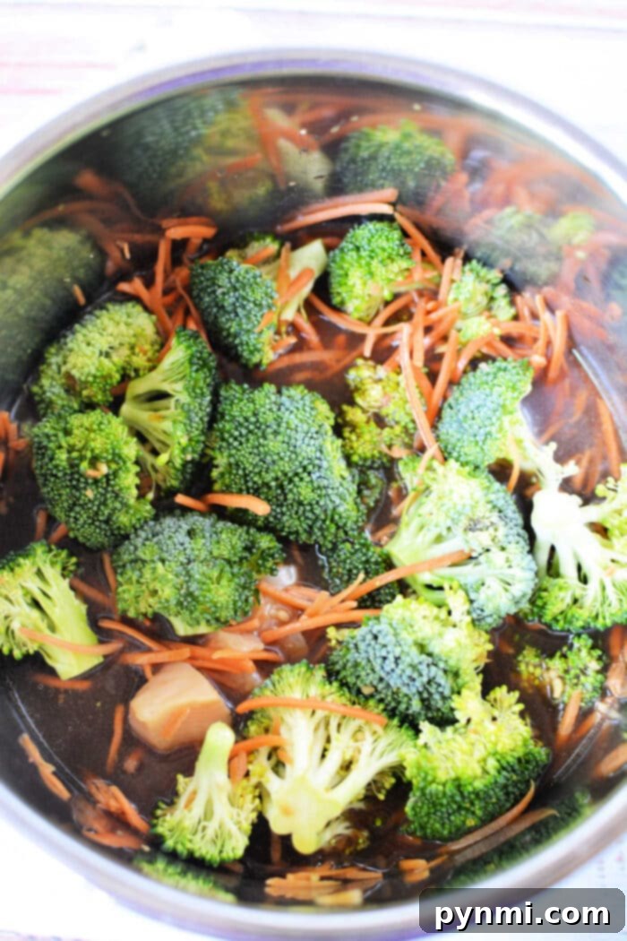 Effortless Instant Pot Chicken and Broccoli 6 Instant Pot Teriyaki Chicken and Broccoli - a satisfying meal