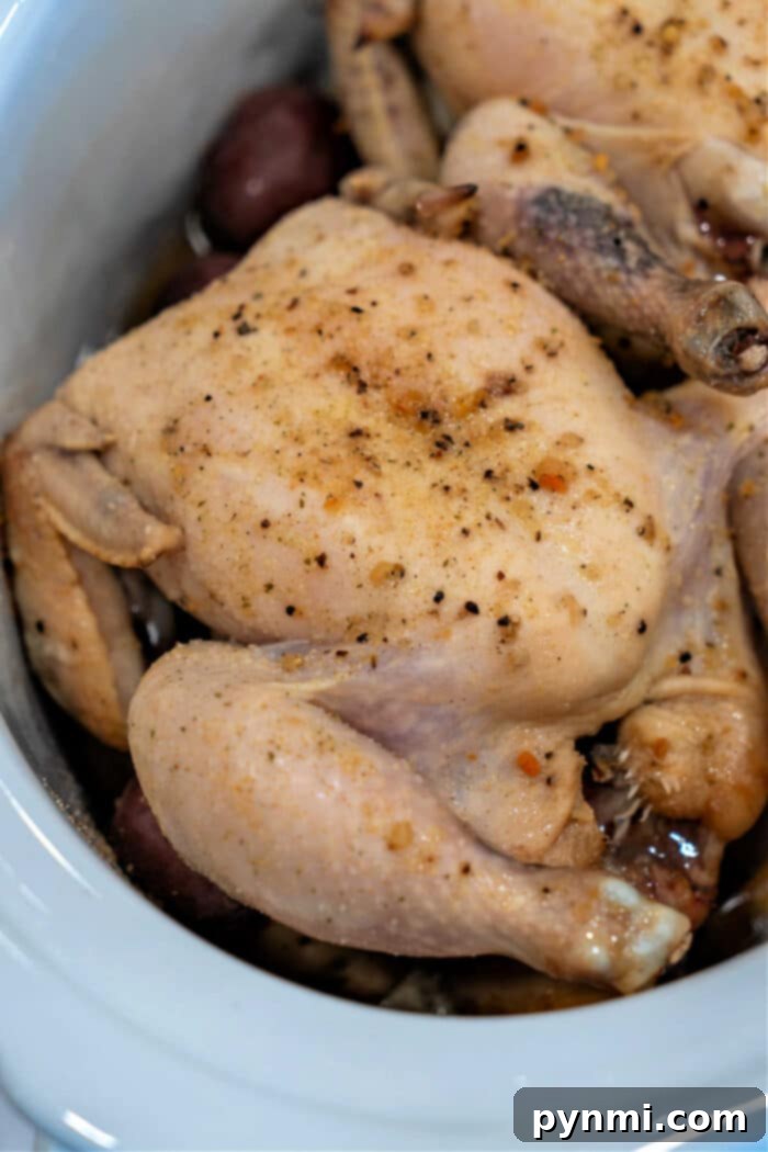 Effortless Slow Cooker Cornish Hens 5 A perfectly cooked and seasoned frozen Cornish hen, ready for serving.