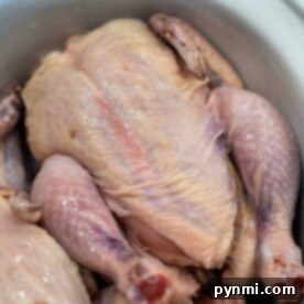 A pair of raw Cornish hens rests in a white crockpot, primed for slow cooker perfection.