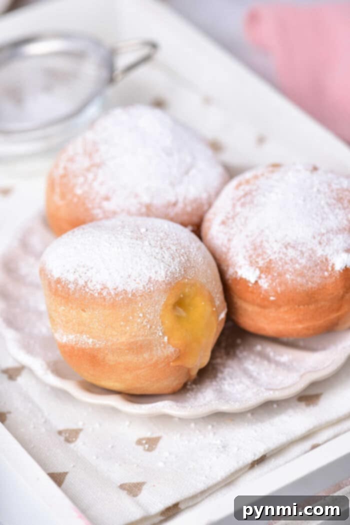 Sunshine Lemon Donuts 6 Filled Donut Holes