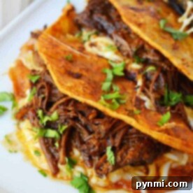 Three birria quesadillas brimming with juicy meat and fresh herbs, perfectly arranged on a white plate with a flavorful dipping sauce on the side.