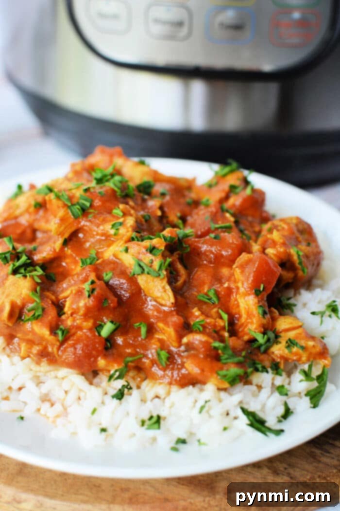 One Pot Chicken Curry Delight 2 Instant Pot Curry with chicken and rice, garnished with fresh herbs.