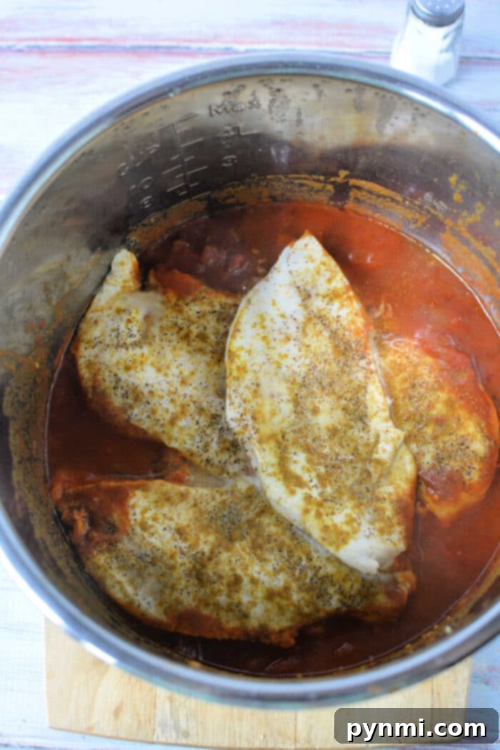 One Pot Chicken Curry Delight 6 Pressure Cooker Curry with vibrant spices.