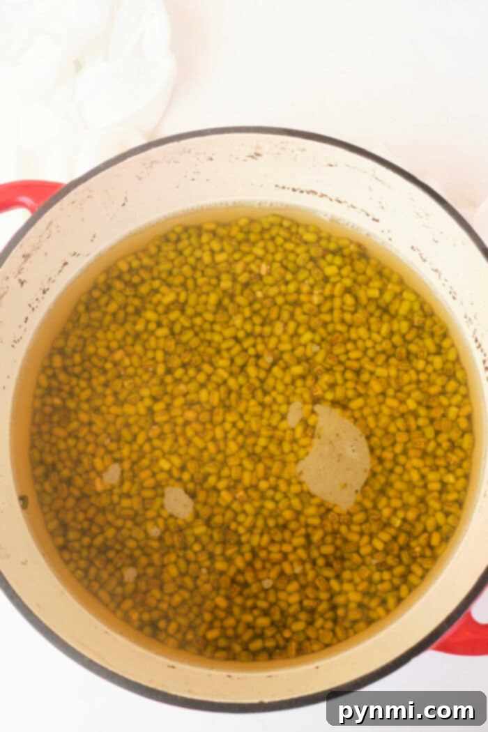 Mastering Mung Beans 4 How Long to Boil Mung Beans