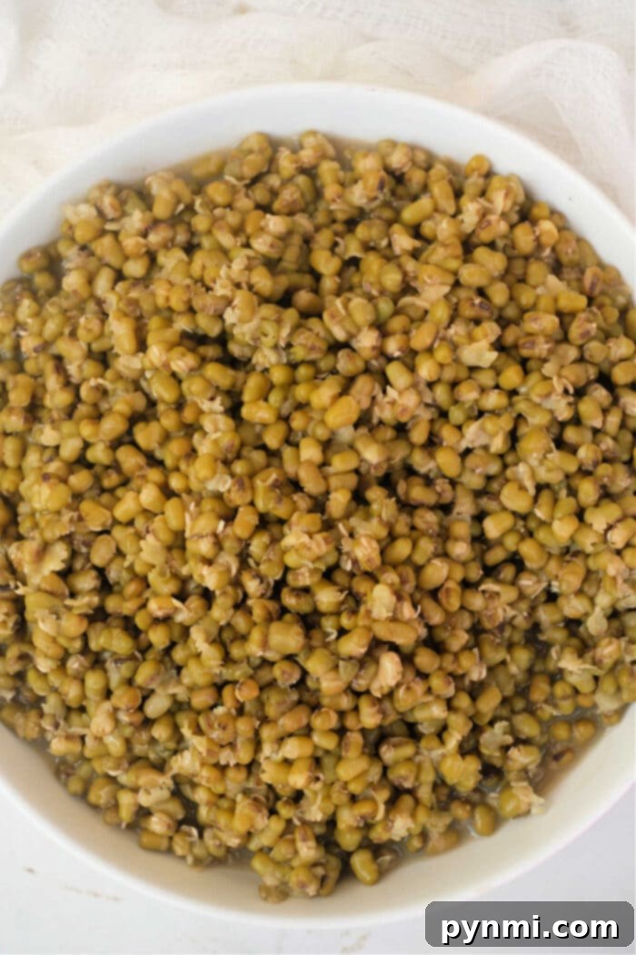 Mastering Mung Beans 6 Mung Beans in Pressure Cooker