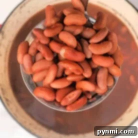 A ladle holds red kidney beans above a simmering pot of bean soup, perfect for those learning how to cook kidney beans on the stove.