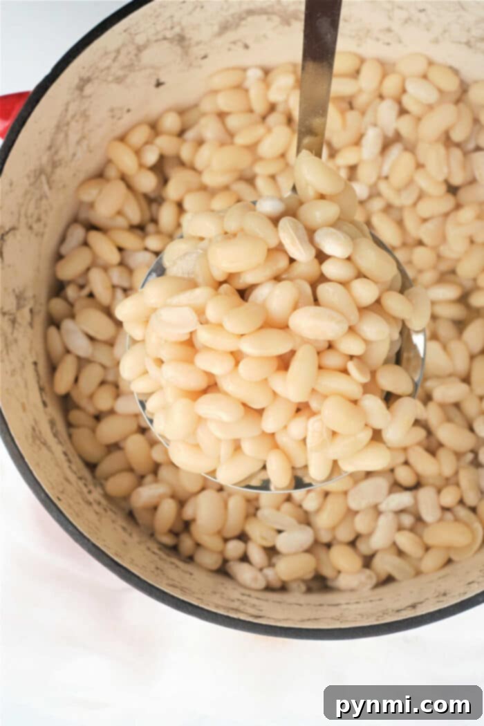 The Ultimate Guide to Navy Beans 2 How to Cook Navy Beans - A guide to achieving tender, flavorful white beans.
