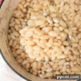 The Ultimate Guide to Navy Beans 4 A ladle lifts cooked navy beans from a pot, showcasing their soft texture and pale color, a testament to mastering how to cook navy beans perfectly.