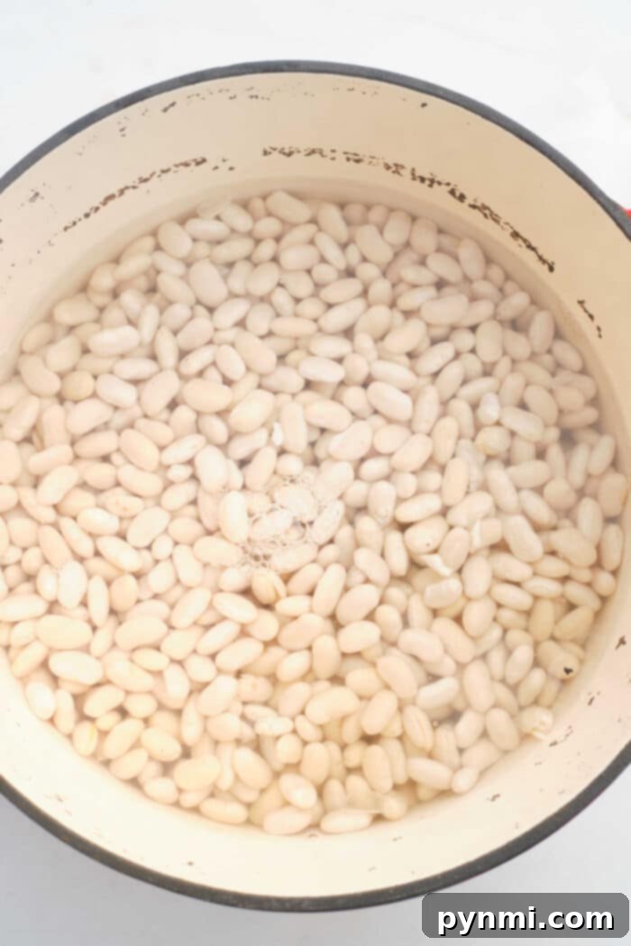 The Ultimate Guide to Navy Beans 5 How to Cook Navy Beans on the Stove - Classic method for tender results.