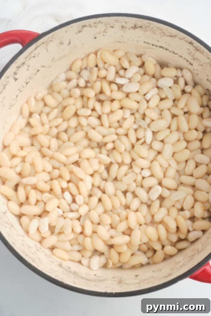 The Ultimate Guide to Navy Beans 6 How Long to Cook Navy Beans for different methods: stovetop, slow cooker, pressure cooker.