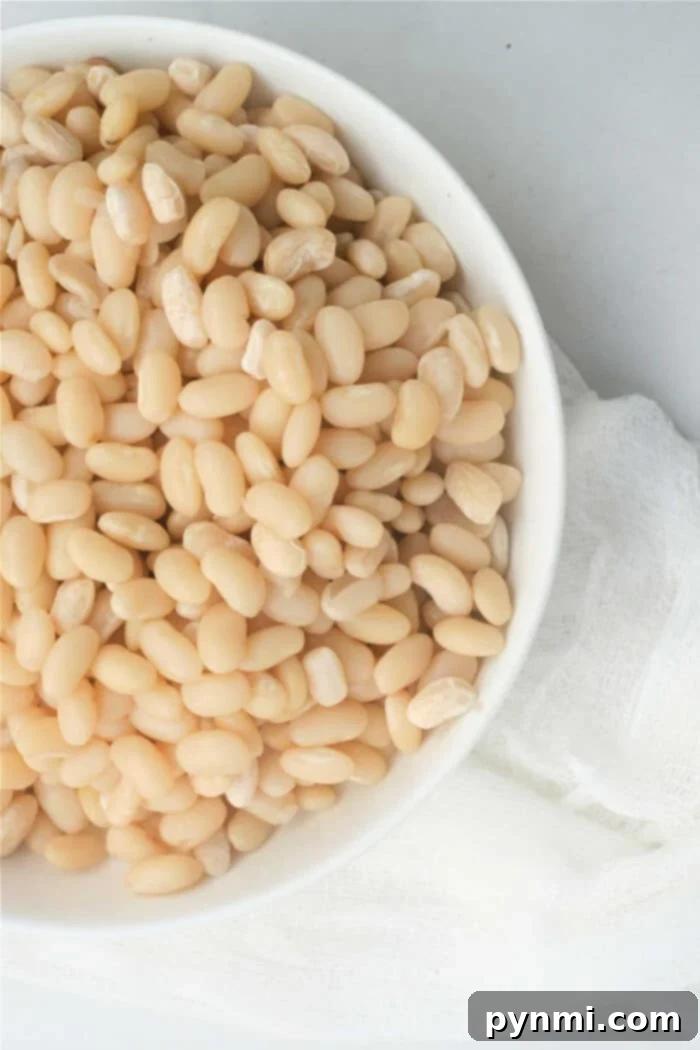 The Ultimate Guide to Navy Beans 7 Dry Navy Bean Recipes - A collection of delicious ideas using cooked navy beans.