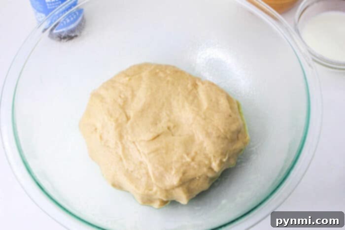 Soft and elastic homemade sweet roll dough on a work surface