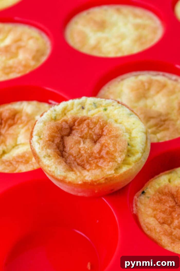 Easy Cheesy Crustless Quiche Bites 2 Mini Cheese Quiche