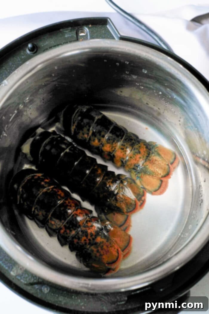 Perfect Instant Pot Lobster Tails 4 Ninja Foodi Lobster Tail