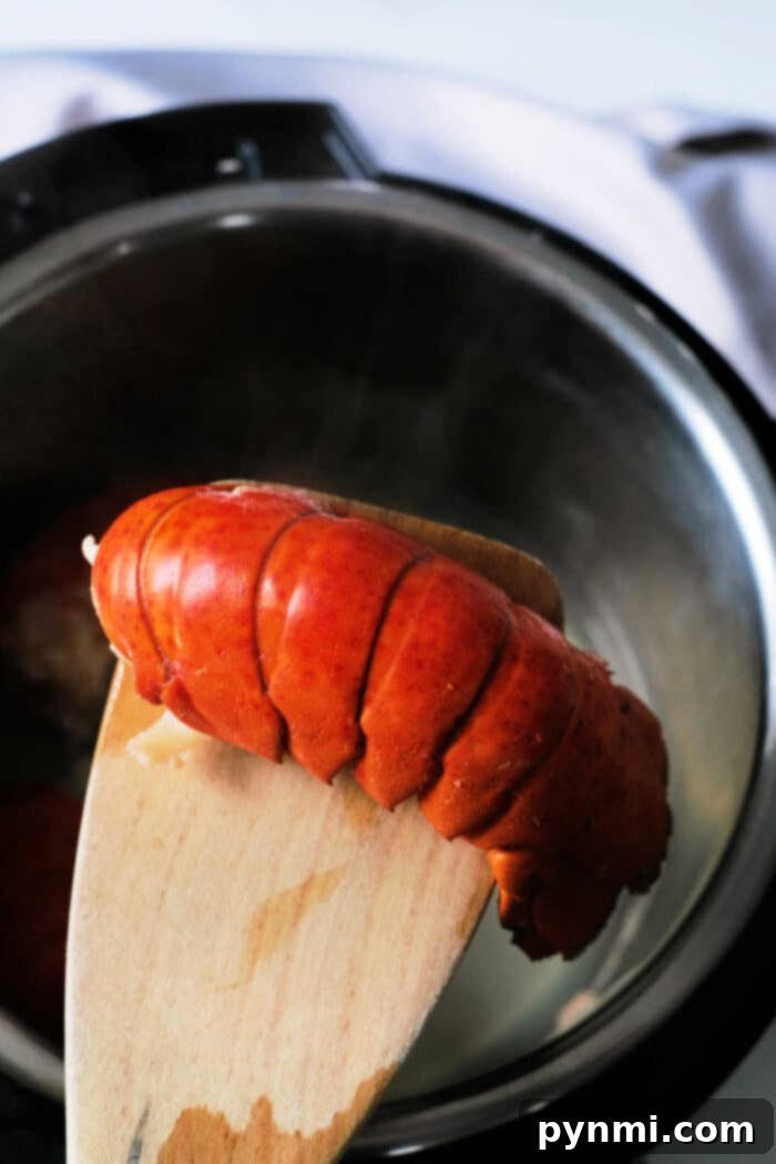 Perfect Instant Pot Lobster Tails 5 Instant Pot Lobster Tail