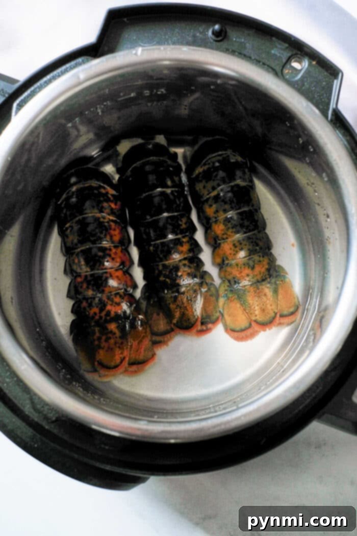 Perfect Instant Pot Lobster Tails 8 Lobster Tails Instant Pot
