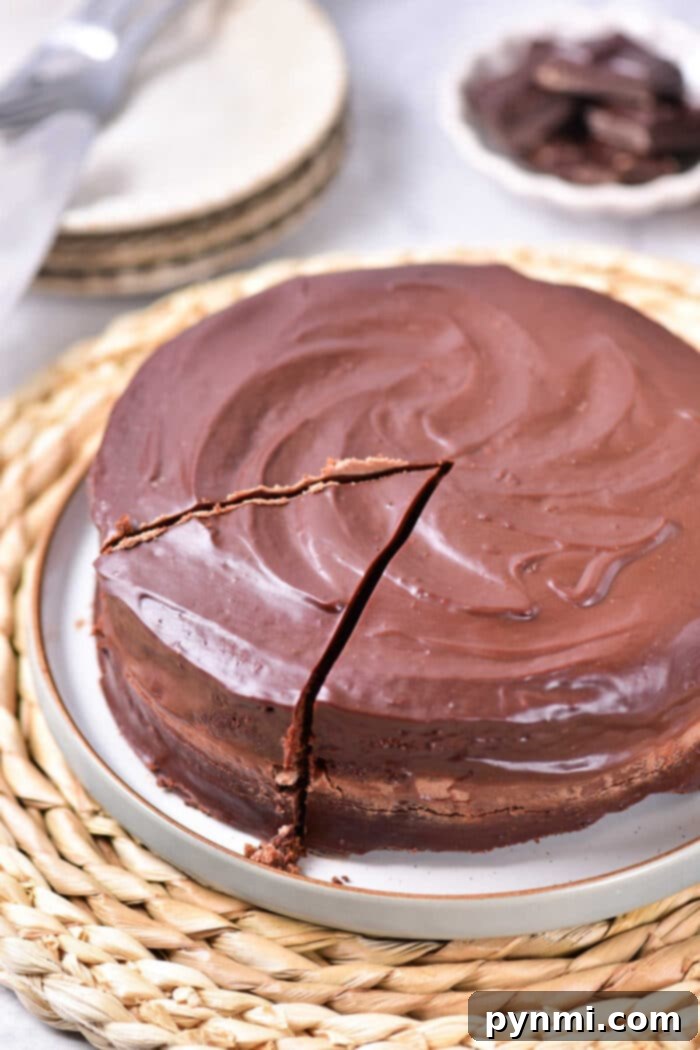 Mocha Indulgence Cake 2 Decadent Homemade Chocolate Coffee Cake with Ganache Frosting