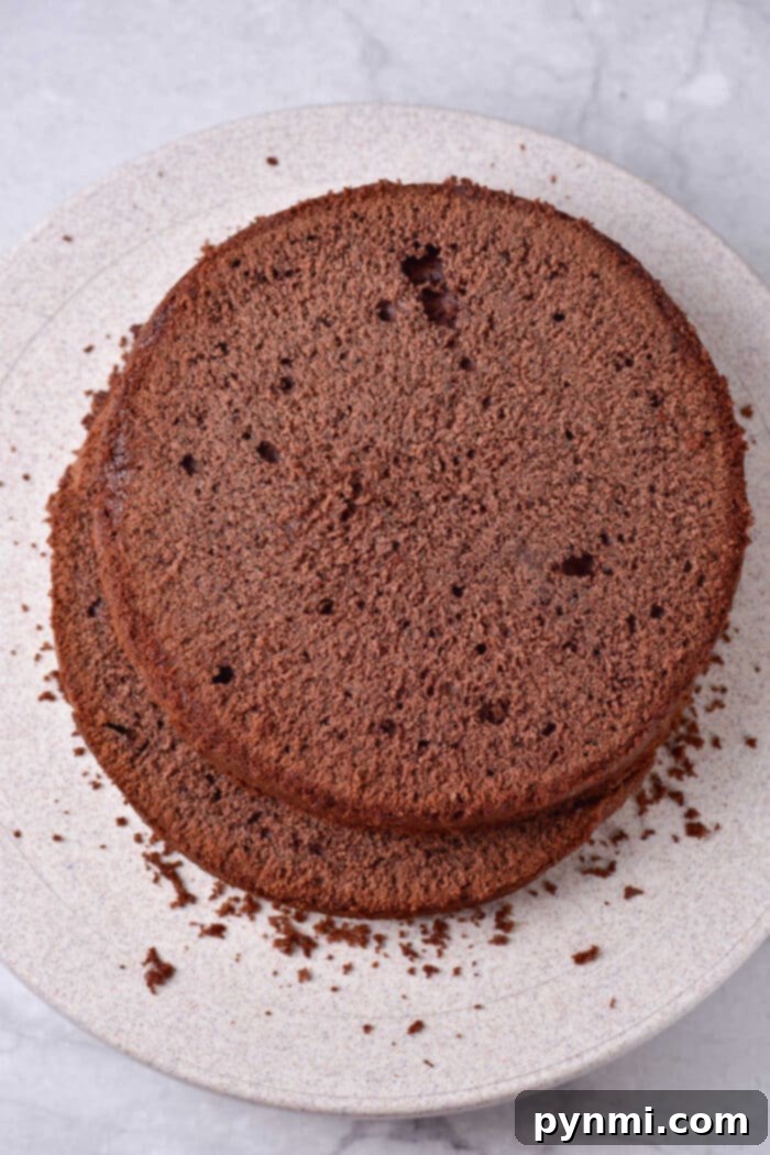 Mocha Indulgence Cake 5 Beautifully Layered Coffee and Chocolate Cake
