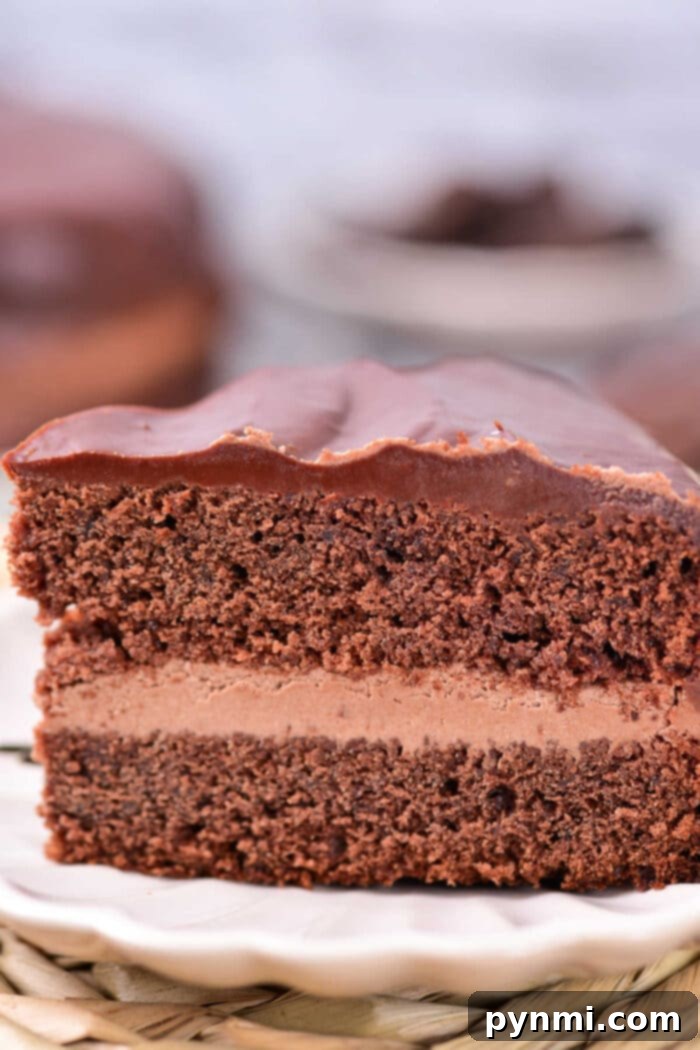 Mocha Indulgence Cake 7 Delicious Coffee Chocolate Cake with a Slice Removed
