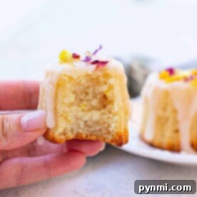 Air Fryer Coconut Muffins