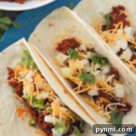 Three chorizo tacos with cheese, onion, and cilantro are delightfully served on a blue plate.