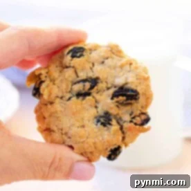 A hand holding a delightful homemade oatmeal raisin cookie, perfectly baked in an air fryer.