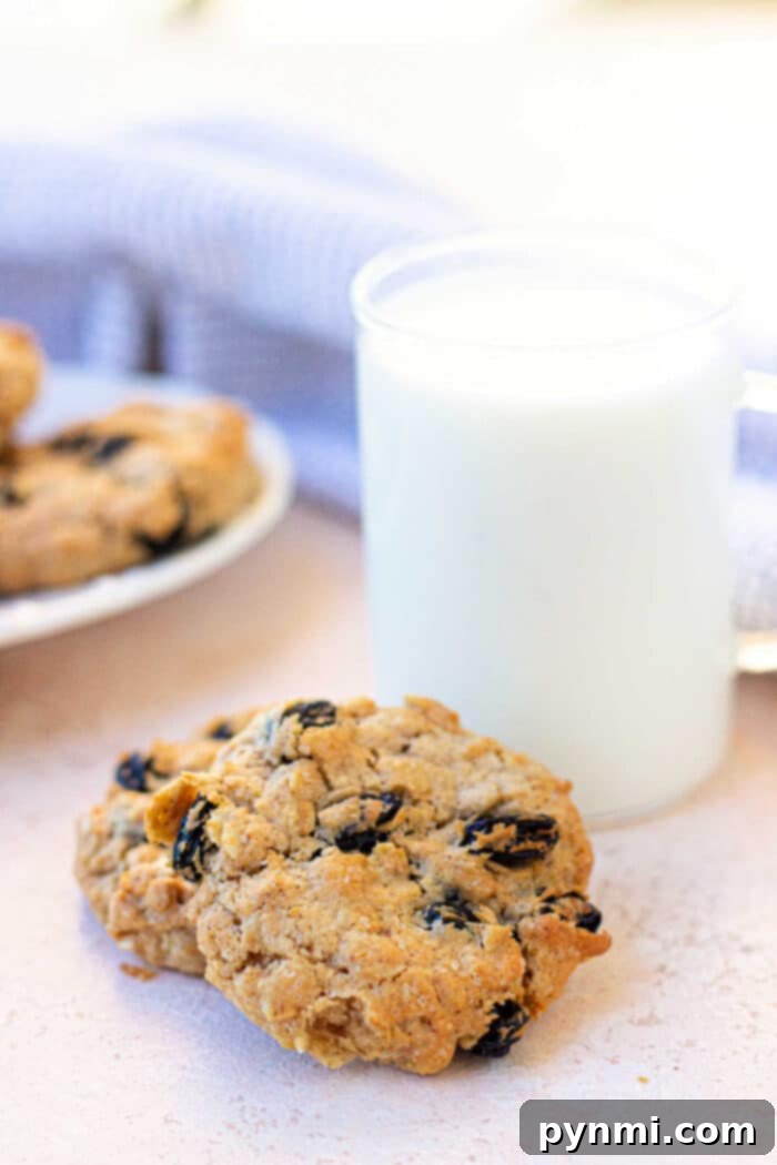 Oatmeal cookies arranged in an air fryer basket, ready to bake.