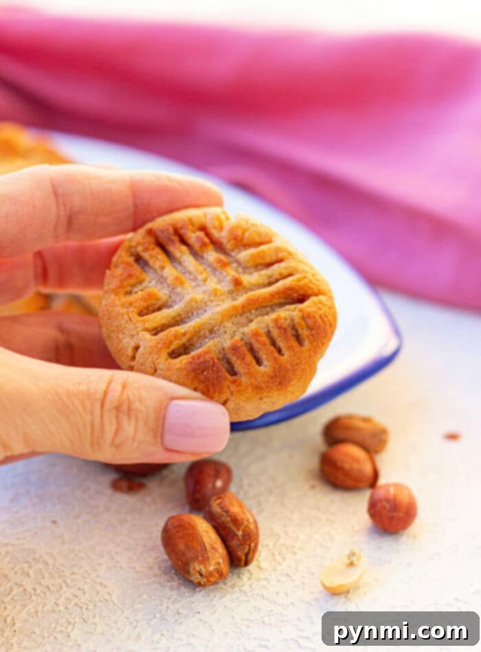 Golden Air Fryer Peanut Butter Delights 2 Delicious golden brown air fryer peanut butter cookies arranged on a cooling rack, fresh from the air fryer.