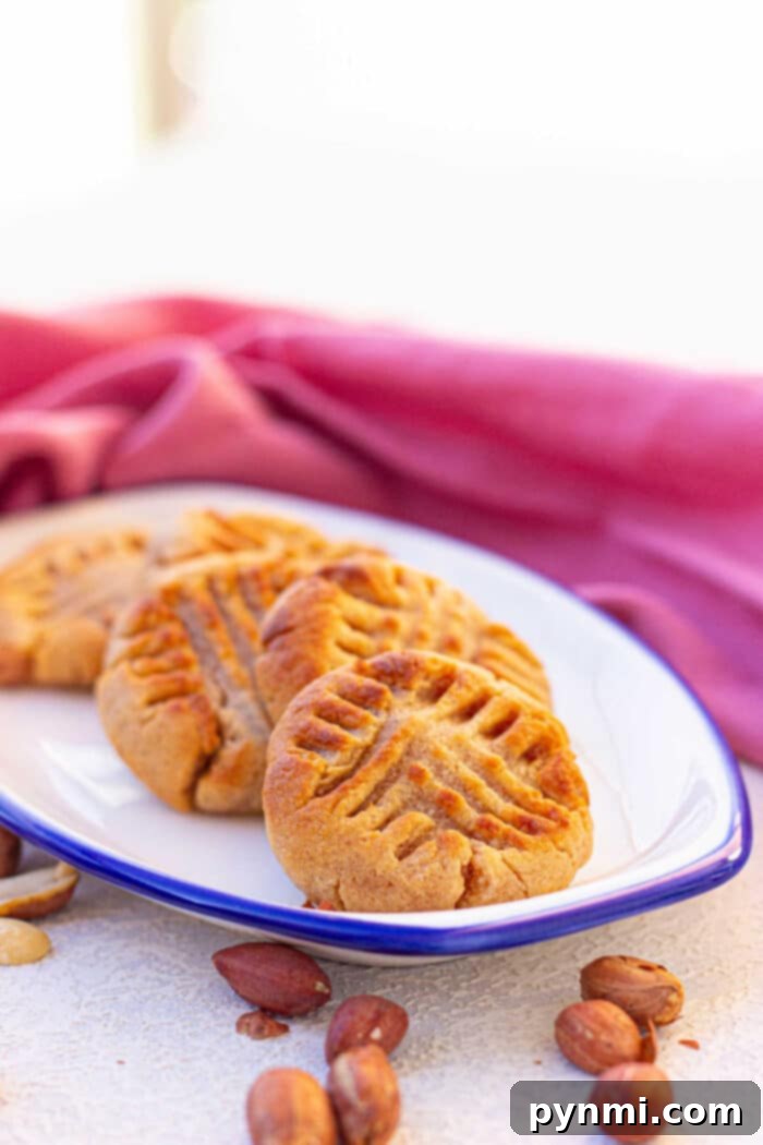 Golden Air Fryer Peanut Butter Delights 6 A small batch of air fryer peanut butter cookies on a cooling rack, freshly baked and ready to be served.