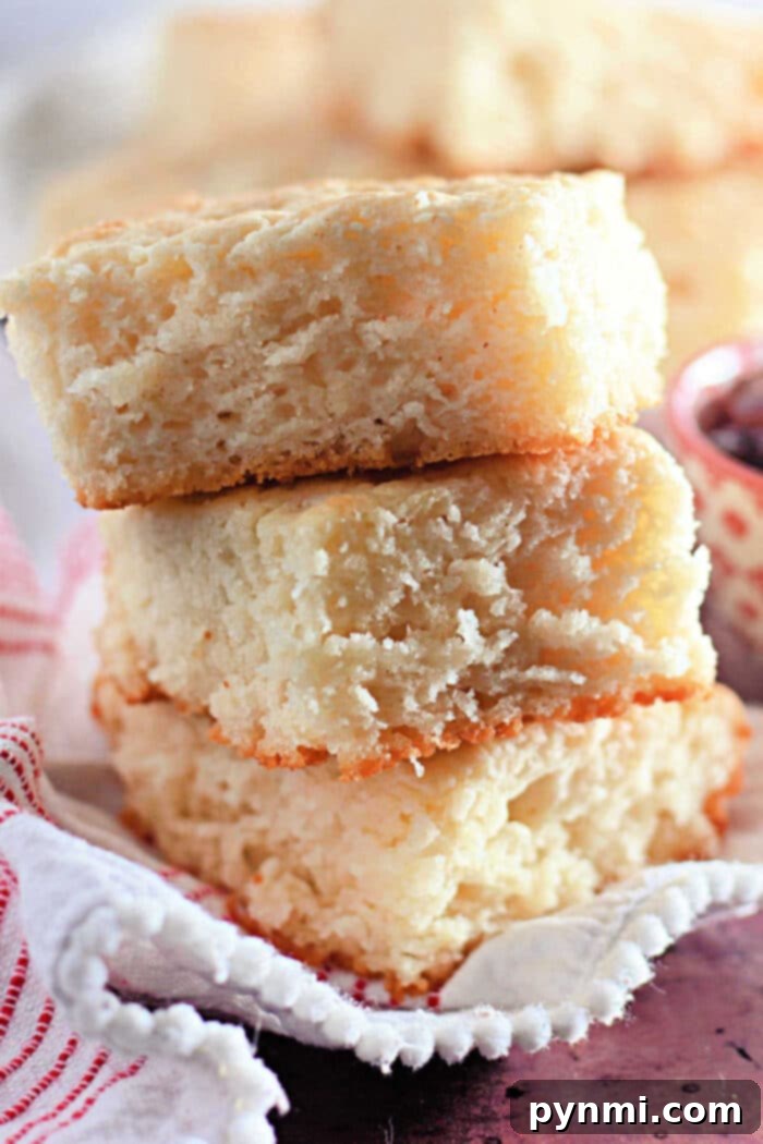 Four Ingredients Basic Biscuits, golden brown and fluffy on a baking sheet, ready to be served