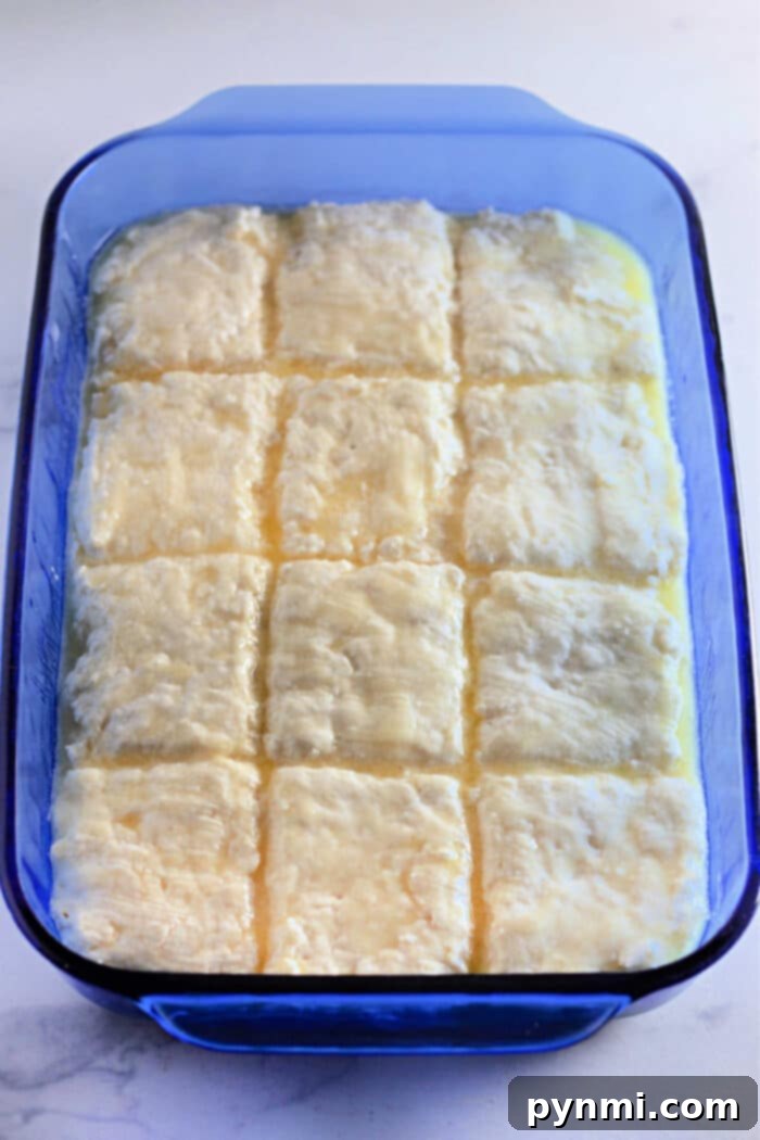 Butter Swim Biscuits Recipe, golden and flaky, served warm.