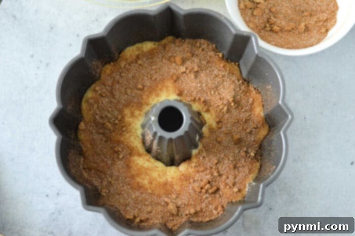 Bakery Style Snickerdoodle Bundt Made Easy 4 A top-down view of a Snickerdoodle Bundt Cake made with cake mix, showing off its intricate design and cinnamon sugar dusting.