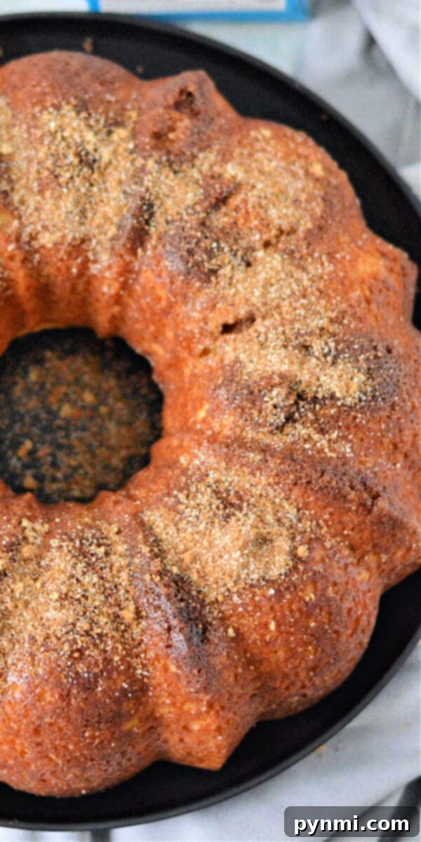 Bakery Style Snickerdoodle Bundt Made Easy 6 A close-up of a Snickerdoodle Bundt Cake slice, showing off the perfectly moist crumb and cinnamon sugar swirl.