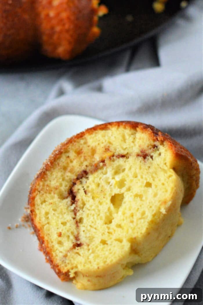 Bakery Style Snickerdoodle Bundt Made Easy 7 A Snickerdoodle Cake with a delicate glaze, garnished with a sprinkle of cinnamon, ready for serving.