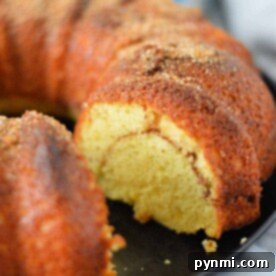 Bakery Style Snickerdoodle Bundt Made Easy 8 A sliced Snickerdoodle Bundt Cake rests on a black plate, revealing a delightful swirl inside and a crumbly topping.